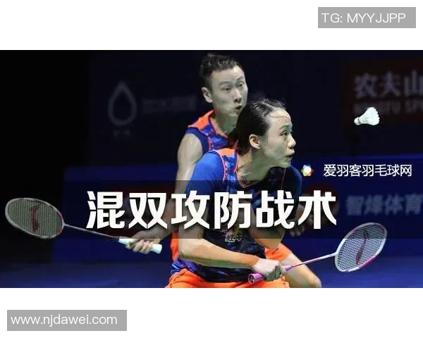 杭州羽毛球队的转换打法深度分析与战术解析